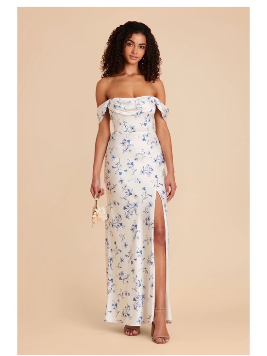 Birdy Grey Dresses & Skirts - Birdy Grey Mia in Matte Satin Blue le Fleur